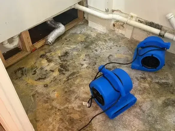 Moisture meter reading on ceiling drywall below an attic