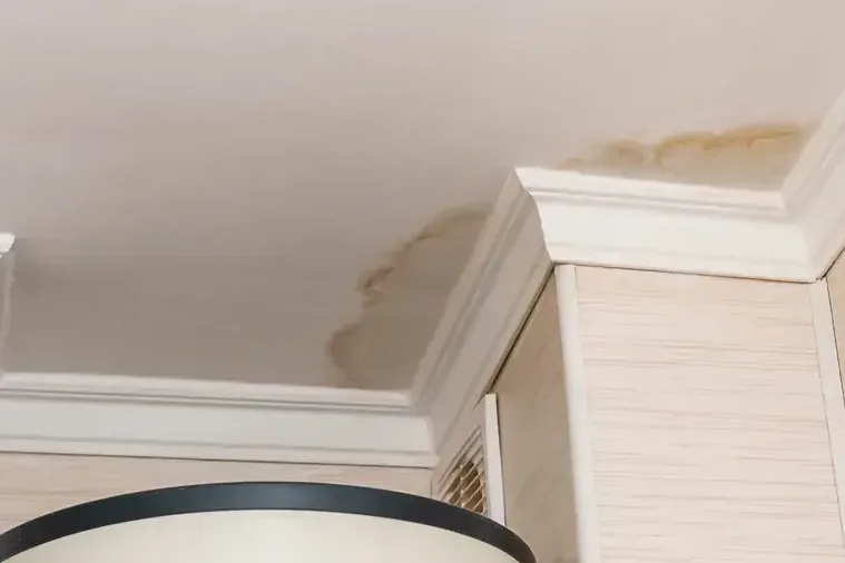 Brown water stain spreading across a ceiling and crown molding