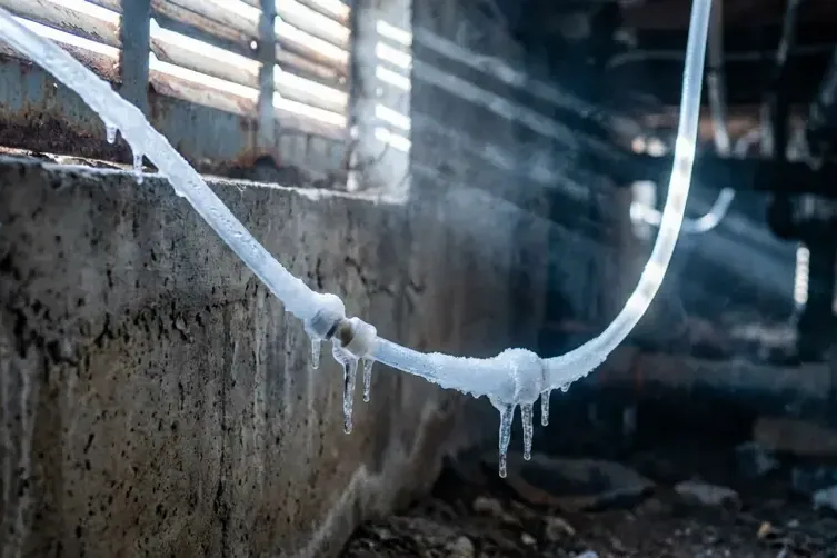 Frost and ice coating a water pipe along a cold foundation wall