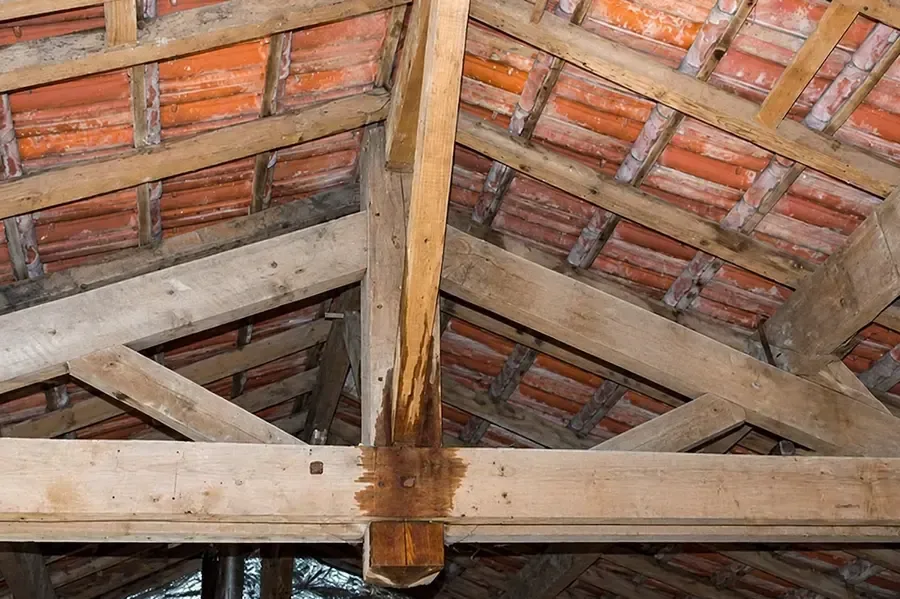 Water stains running down attic rafters and a beam below a clay tile roof after a leak