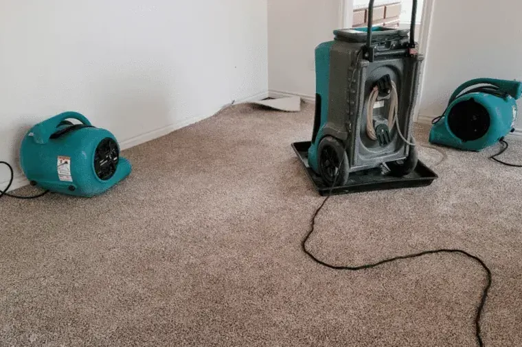 Air movers and a large dehumidifier drying a carpeted room